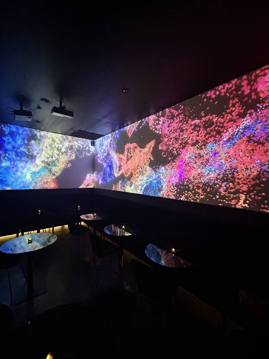 Immersion visuelle et sonore à Lyon