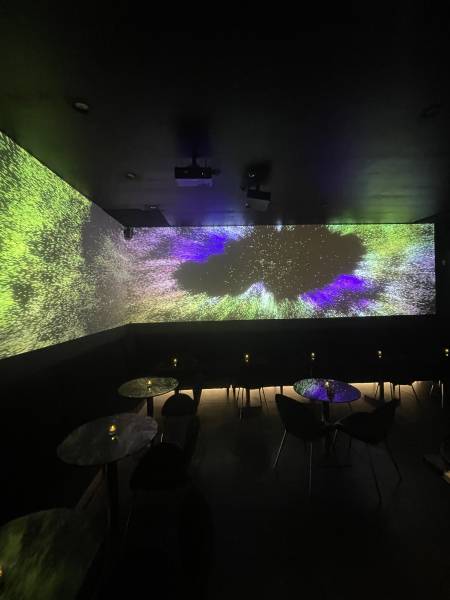 Restaurant immersif à Lyon