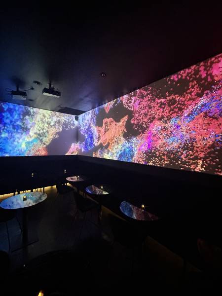 Immersion visuelle et sonore à Lyon