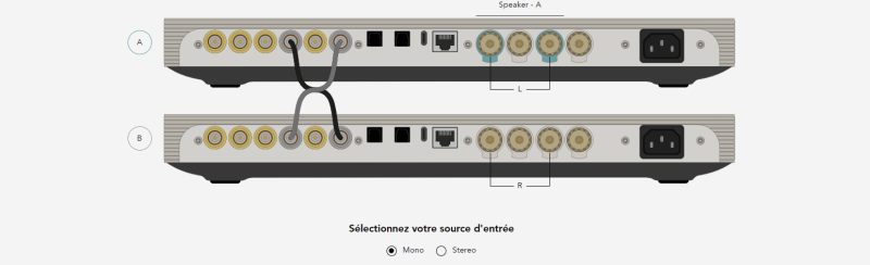 Connectivités astra dual devialet